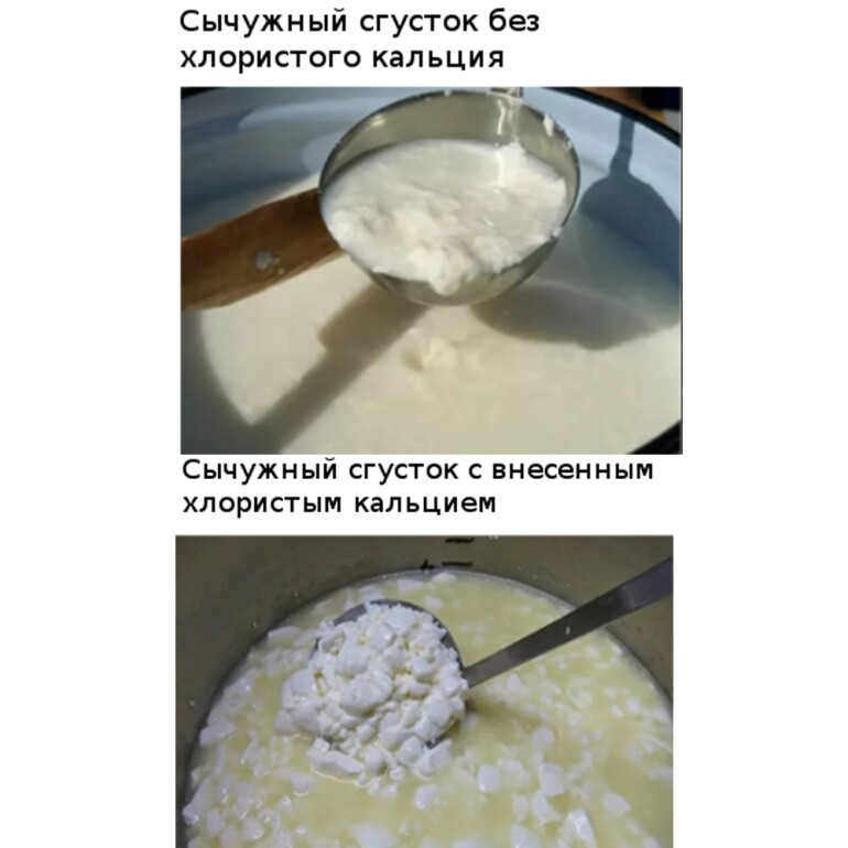 сычужный сгусток хлористый кальций бск