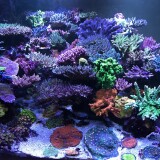 pro-reef tropic marin mix купить с доставкой