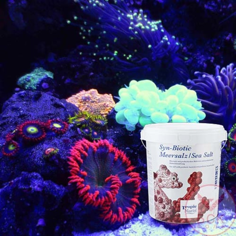 Соль Tropic Marin Syn Biotic син биотик купить оптом и в розницу кораллы и рыбки