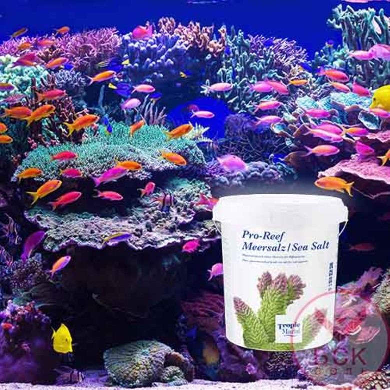 Соль Tropic Marin Pro-Reef про риф купить оптом и в розницу морской аквариум