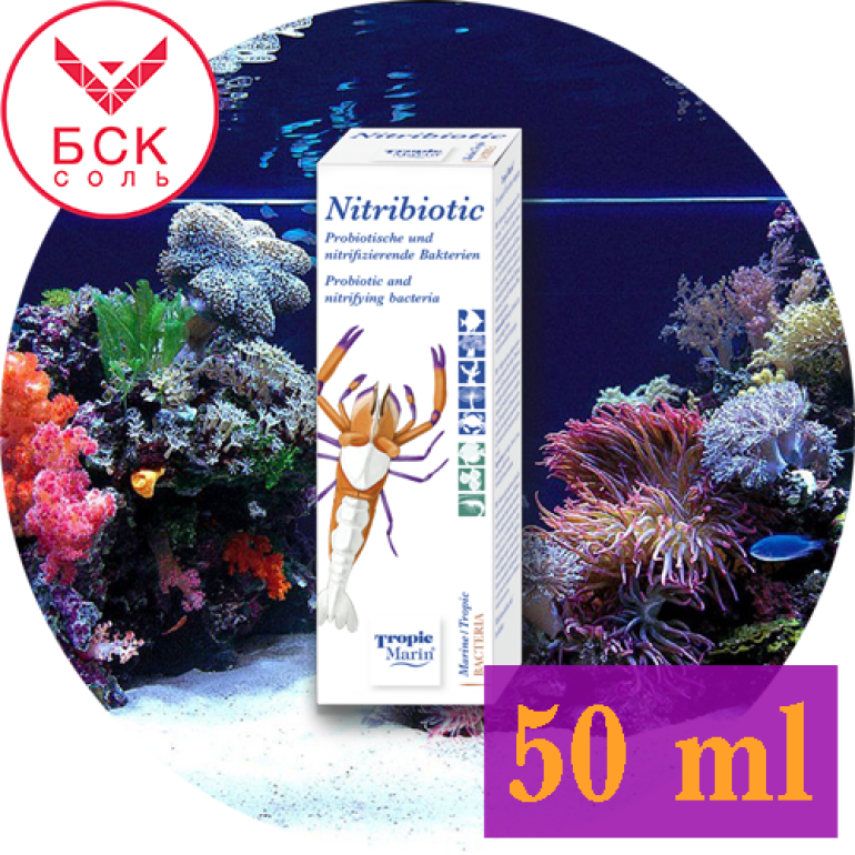 Nitribiotic 50