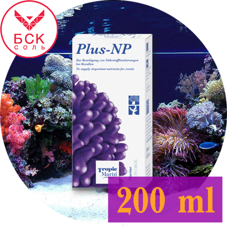 Plus-NP 200