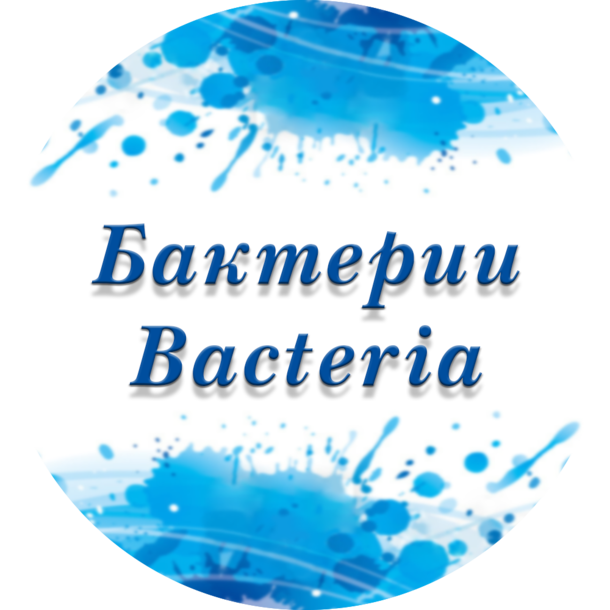 Бактерии Bacteria