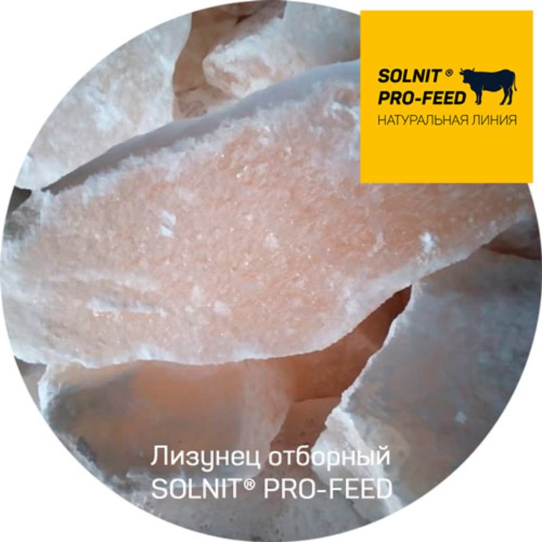 SOLNIT® PRO-FEED, лизунец, сверкающий белый, натуральный, соль в глыбах для КРС и МРС в глыбах по 10-15 кг (БСК)