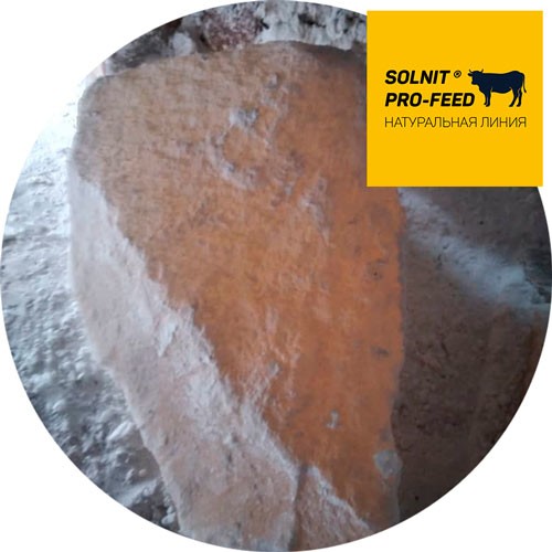 SOLNIT® PRO-FEED, лизунец, сверкающий белый, натуральный, соль в глыбах для КРС и МРС в глыбах по 5-20 кг (БСК)