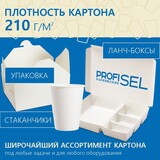 ProfiSel Paperboard ламинированный картон 4