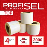 ProfiSel Termostix 40х58 01