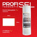 ProfiSel Termostix 40х58 03