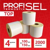ProfiSel Termostix 100х150 01