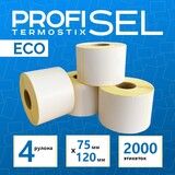 ProfiSel Termostix ECO 75х120 01